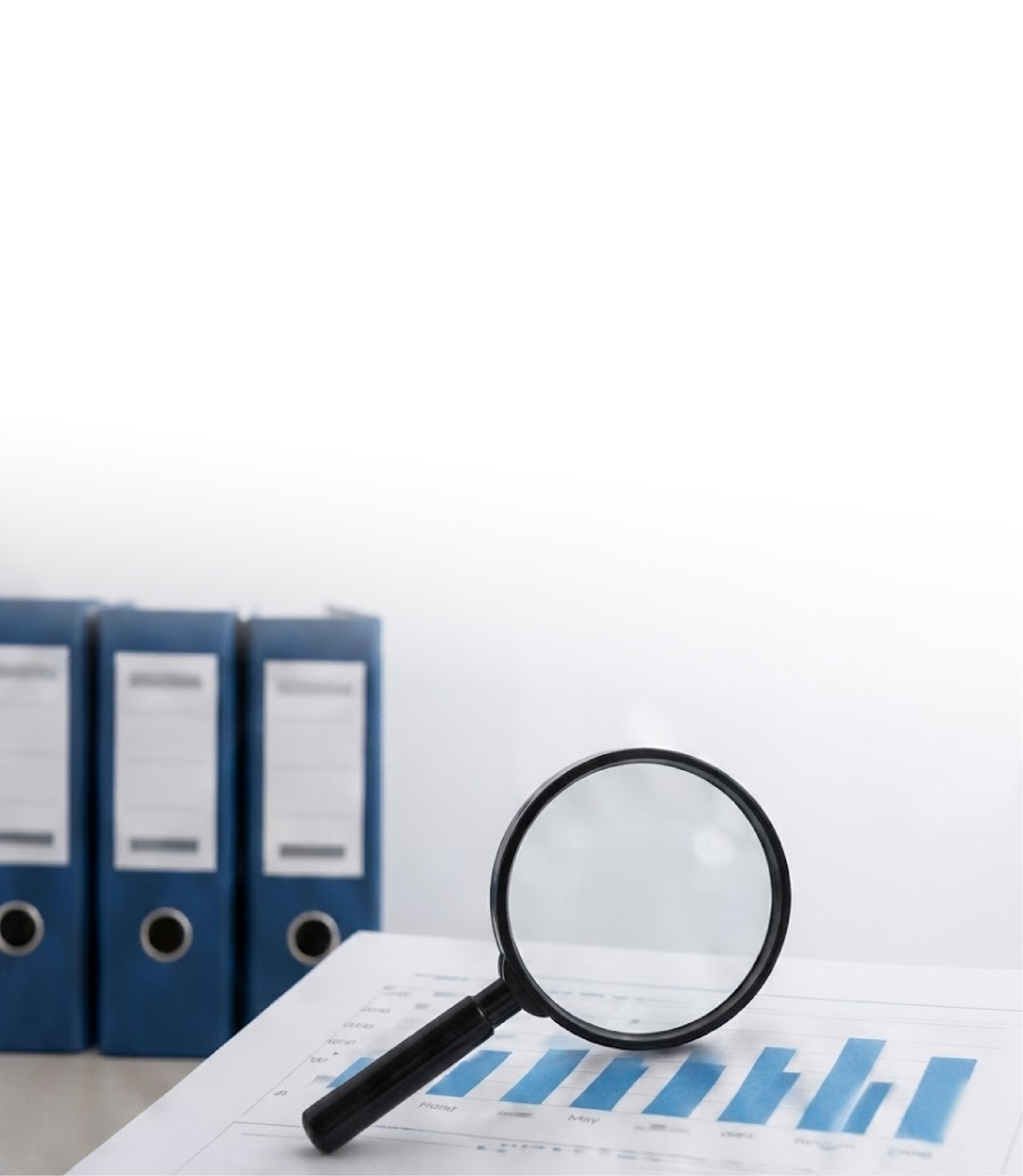 Audit Support Image